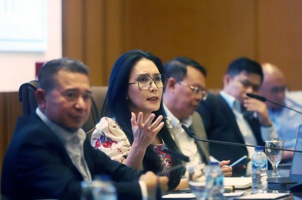 Rieke Desak Regulasi Satu Data Dipercepat, Andre Soroti Kebocoran SDA