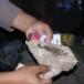 Bawa Ganja Paketan Cepek, Sahrizal Kejaring Razia Jalanan
